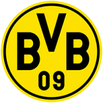 BVB Partner